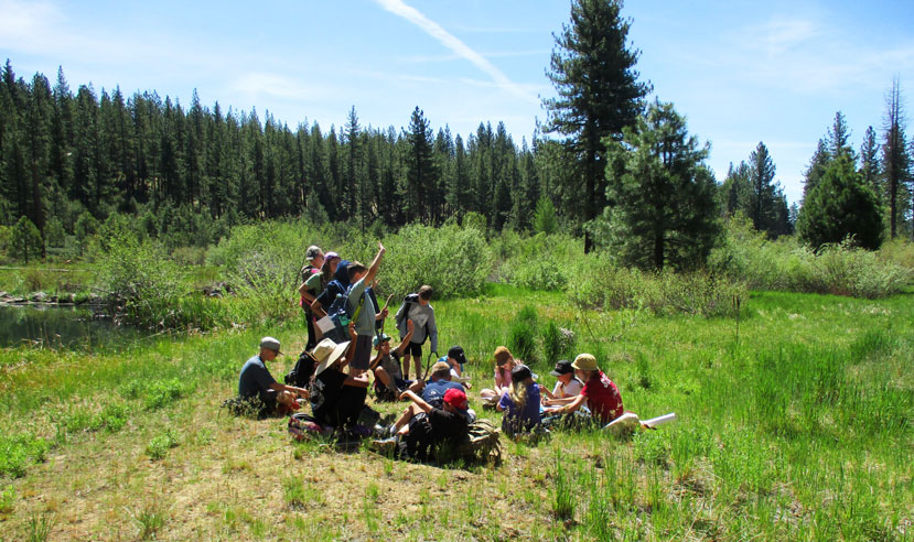 A group of kids sit outside in a grassy, lime green meadow with a green forest behind them