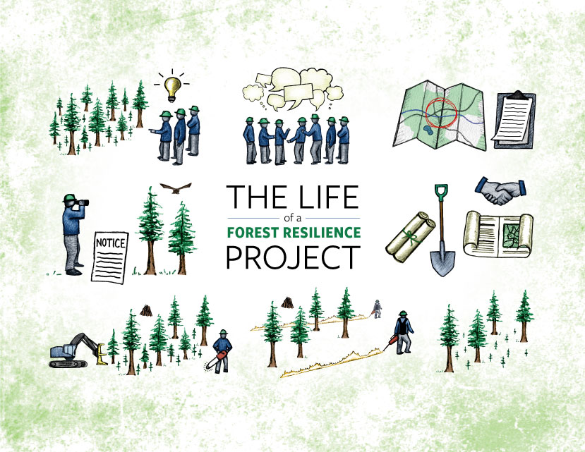 the life of a project with several thumbnail graphics showing people, trees, maps, and forest restoration