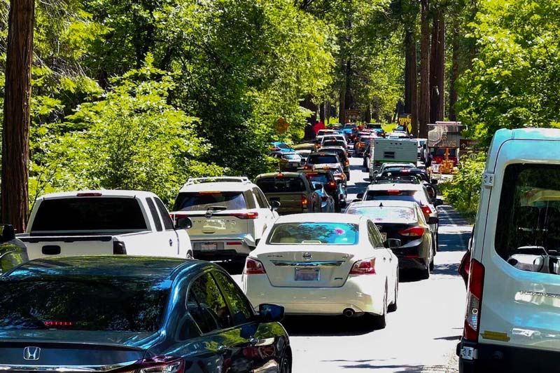 A two-lane road flanked by green trees is packed and lined with cars driving in