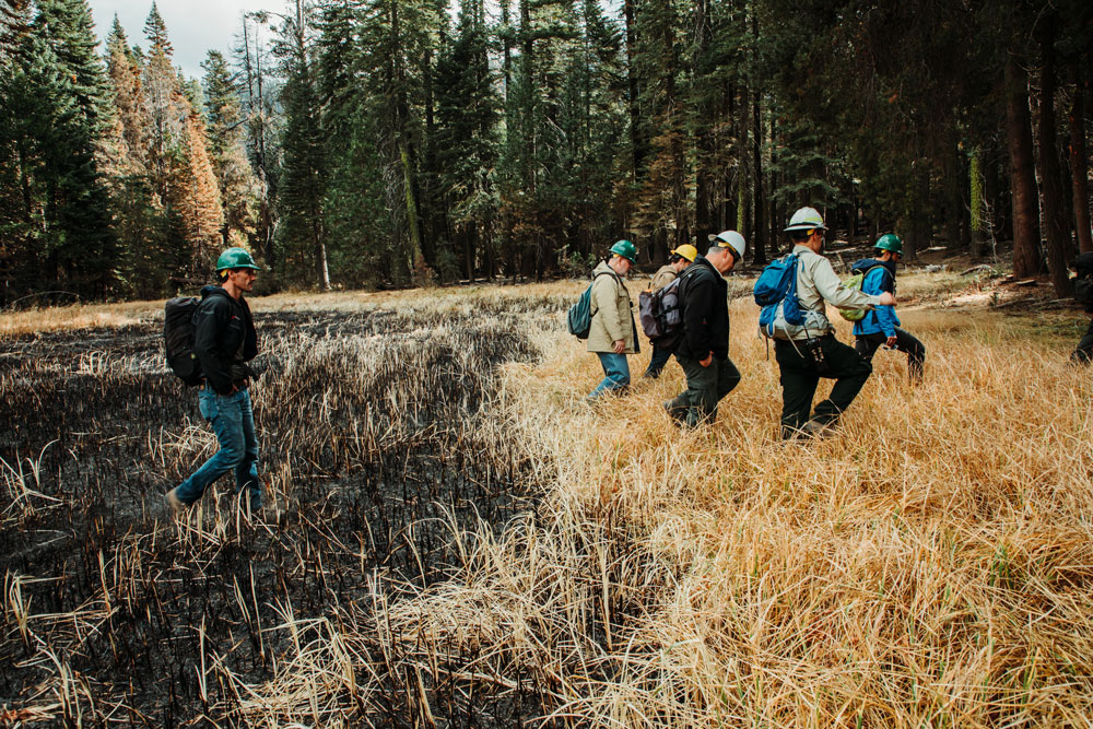 group of six people wearing hard hats walk through a meadow that is burned black on the left half with green trees in the background