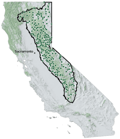map of Sierra-Cascade region (about a quarter of California's land area on the eastern side, which includes the mountains and foothills of the Sierra Nevada range, the Mono Basin, Owens Valley, the Modoc Plateau, and parts of the southern Cascade Range and Klamath Mountains). The map shows 589 project dots spread all throughout the region.