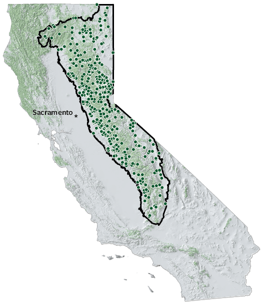 map of Sierra-Cascade region (about a quarter of California's land area on the eastern side, which includes the mountains and foothills of the Sierra Nevada range, the Mono Basin, Owens Valley, the Modoc Plateau, and parts of the southern Cascade Range and Klamath Mountains). The map shows 589 project dots spread all throughout the region.
