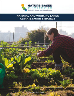 Natural and Working Lands Climate Smart Strategy cover page showing a woman kneeling over a leafy green garden