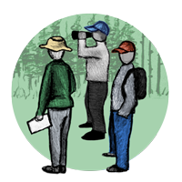 drawing of three people standing in a forest, one holds a piece of paper, another is using binoculars, and the third is wearing a backpack.