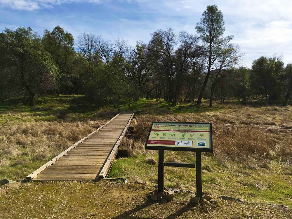 An information sign about hip height is planted into the ground with two metal posts. To the left is a wooden platform path that extends over grassy marsh and into the background lined with trees
